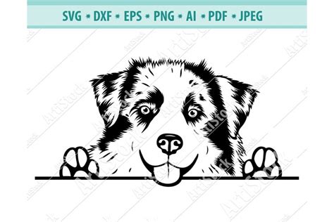 Cute Border Collie Svg Peeking Dog Svg File For Cricut Face