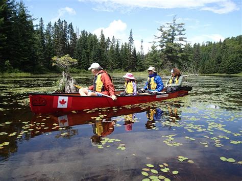 Algonquin Park Canoe Trip De Canada Specialist