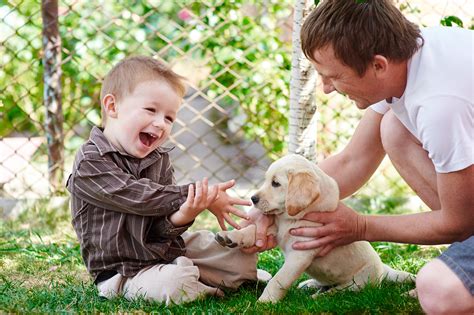 Once they start walking, toddlers can become more interesting—and. 6 Tips to Help a Child that is Afraid of Dogs