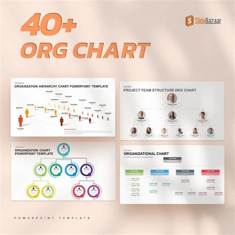 Organizational Chart Organizational Structure Org Chart Hierarchy