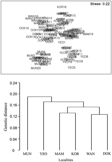 Random Amplified Polymorphic Dna Rapd Analysis A Non Metric