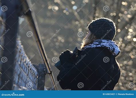 Κορίτσι με τις διόπτρες που κοιτάζει πέρα από το φράκτη καλωδίων Στοκ