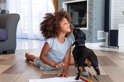 Raising Kids With Pets How Do Pets Teach Responsibility