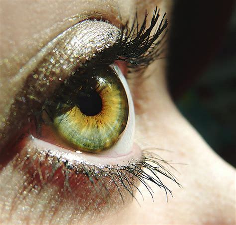 Pin By Kristi Grogan On Eyes Rare Eyes Rare Eye Colors Green Eyes