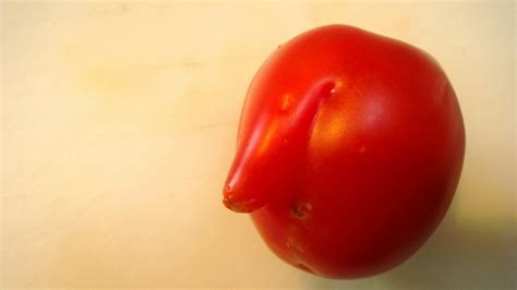 Seeing Things Tomato Face