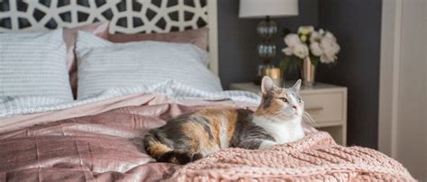 West Elm Hgtv Canada Cozy Bedroom Carole B Eves