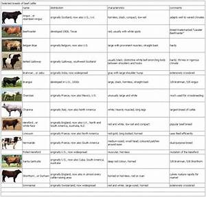 Beef Cattle Breeds Chart Beef Cattle Cattle Ranching Livestock Judging