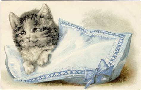 If you click the picture, a new window opens with the original clip art, which is what you get when you use the download button. 15 Beautiful Vintage Kitten and Cat Pictures! - The ...