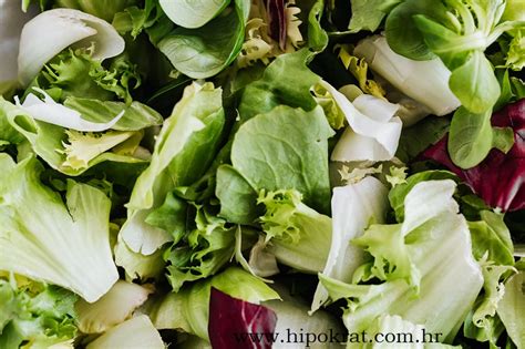 Koliko je zdrava zelena salata Hipokrat kako živjeti zdravo