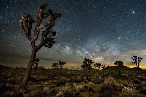 Best Joshua Tree National Park Photography Locations To Create Great