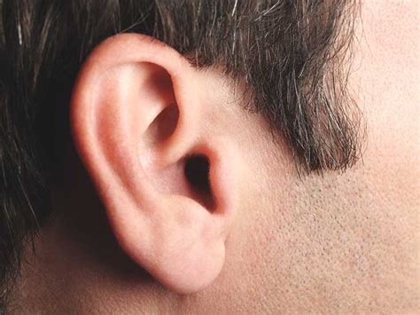 Ear Infection In Adults Symptoms Causes Diagnosis And More