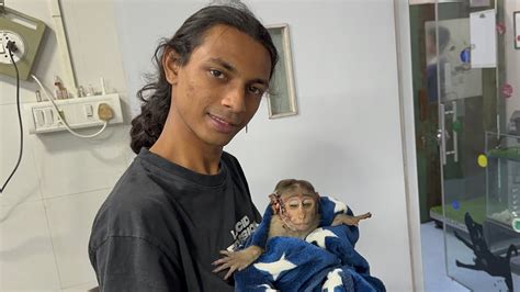 Injured Baby Monkey Rescued 🚩🚩 Youtube
