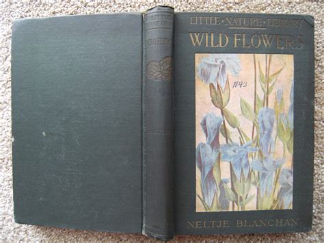 Vintage Little Nature Library Book Wild Flowers Worth Knowing 1923 Hc