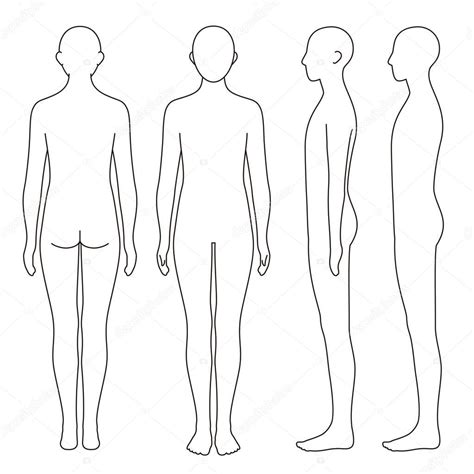Human Body Model Outline Front Back Side Vector File Set Vector De