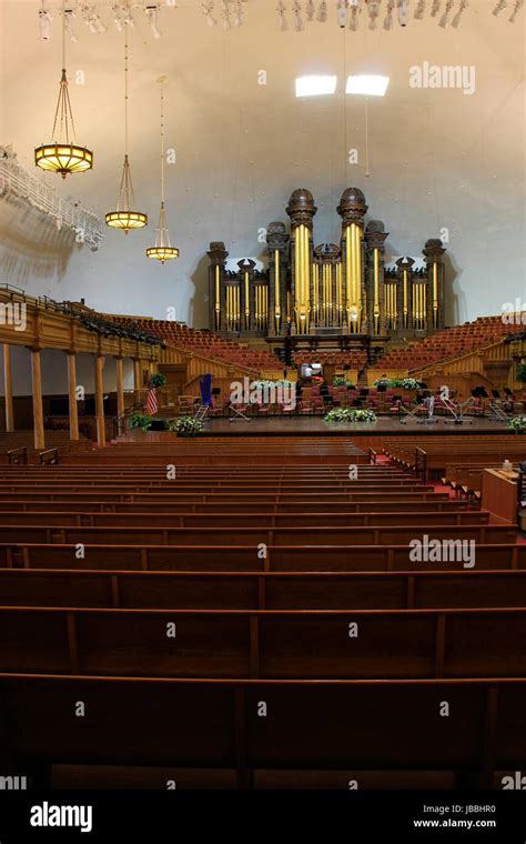 Largest Organ In The World Hi Res Stock Photography And Images Alamy