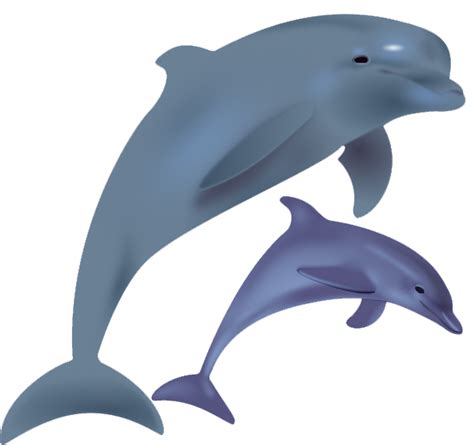 Dolphin Free Png Image Png All Png All