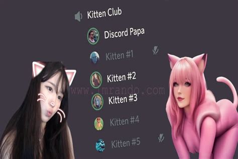 What Is A Discord Kitten And Discord Daddy