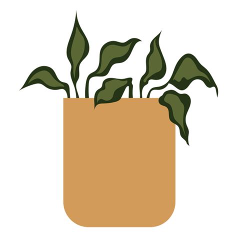 Decoration Houseplant Nature Flat Png And Svg Design For T Shirts