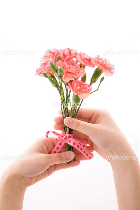 Physiological effects and action under the color of the flowers, put into words from the impressions of nature and the presence of thorns with the height of tall plants. カーネーションの花束 写真素材  735422  - フォトライブラリー ...