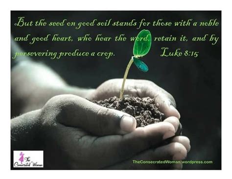 Planting Seeds Daily Bible Verse Good Heart Verse Of The Day