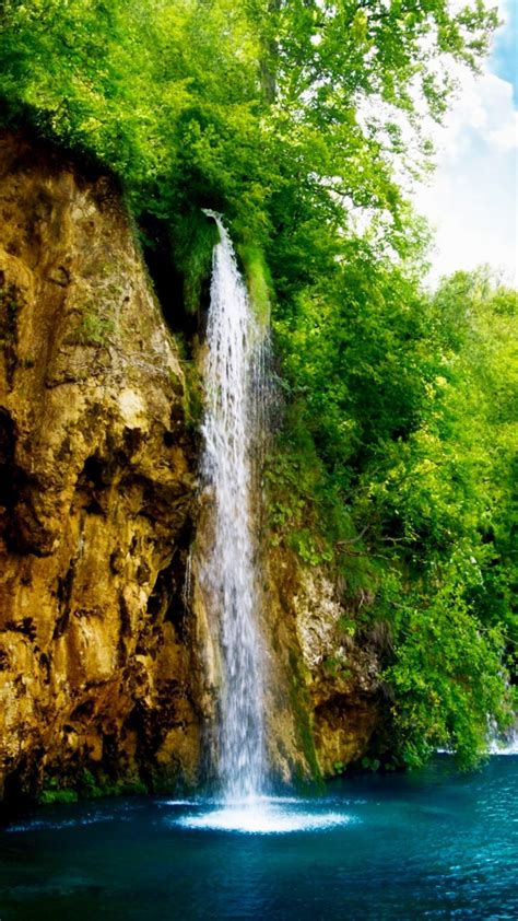 Waterfalls Near Leafed Green Trees Under Blue Sky 4k Hd