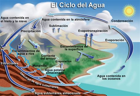 El Ciclo Hidrológico Curiosidades Ambientales