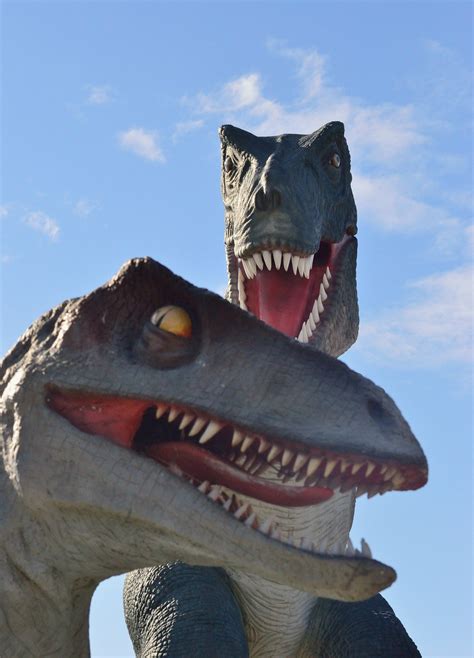 Free Images Tourist Reptile Attraction Tyrannosaurus Rex