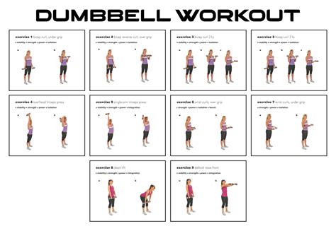 Best Free Printable Dumbbell Workout Poster PDF For Free At Printablee