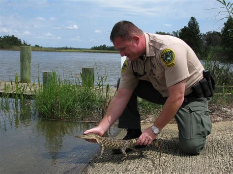 How To Become A Game Warden In Alabama Swimmingkey13