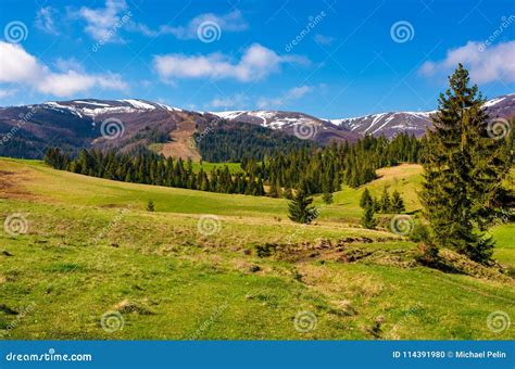 Forested Hills And Grassy Meadows In Springtime Stock Photo Image Of