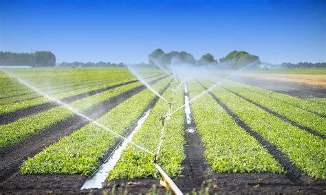 Irrigation System Deployment A Complete Process Farm Dynamics Pakistan