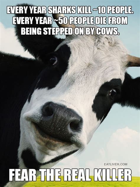 Funniest Cow Quotes
