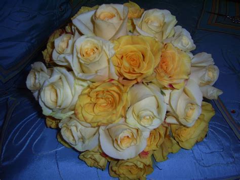 Get well flowers for guys. Get Well (fresh yellow roses) - arranged by Lian | Yellow ...
