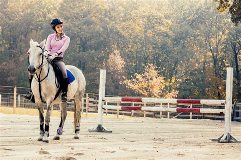 The Different Types Of Horseback Riding Styles—explained