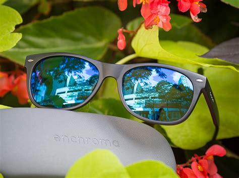 Studies have shown that while the lenses alter the perception of already perceived colors, they do not restore normal color vision. Enchroma Colorblind Glasses Review: Illuminating, But Are ...