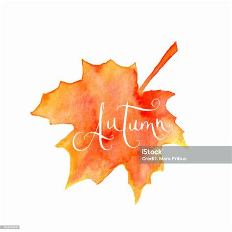 Watercolor Maple Leaf And Autumn Word Stock Illustration Download