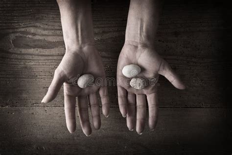 Hands Holding Rocks Stock Image Image Of Hand Stones 12981359