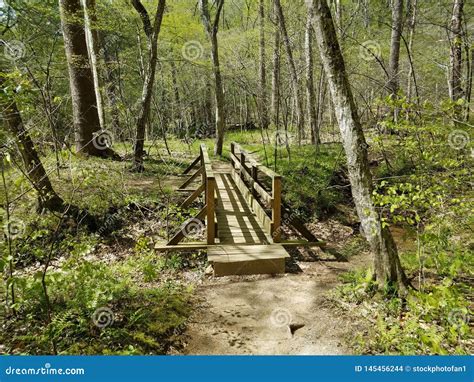 Wood Bridge Over Creek On Trail In Forest With Trees Stock Photo