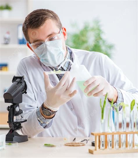 El Bioquímico Masculino Que Trabaja En El Laboratorio Con Plantas El