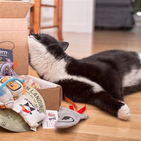 The happy cat kitnipbox comes with 5 toys, treats, and/or other cat goodies. meowbox - A monthly cat subscription box filled with fun ...