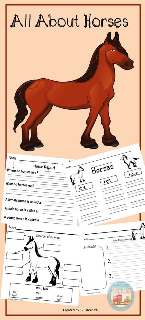 150 Horse Worksheets Ideas In 2021 Horse Camp Horse Lessons Horses