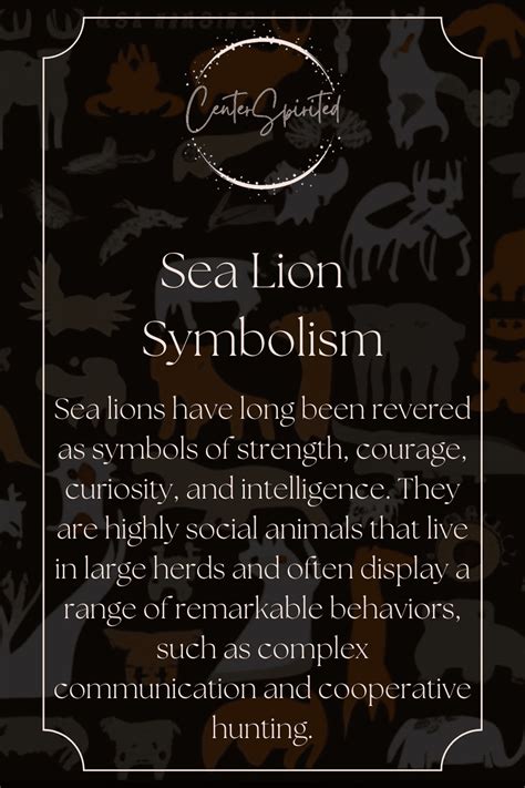 Sea Lion Symbolism Meaning Power Totem Spirit Animal Artofit