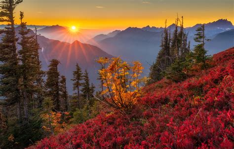 Wallpaper Autumn Trees Sunset Mountains The Cascade Mountains