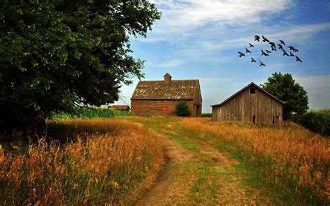 Farm Scenes Summer Wallpapers Wallpaper Cave