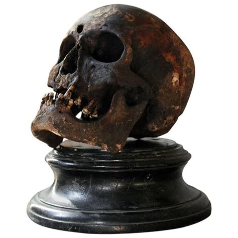 Well Patinated Early Human Skull At 1stdibs