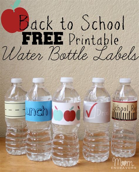 Convenient And Fun Drinks For Back To School Lunches With Free