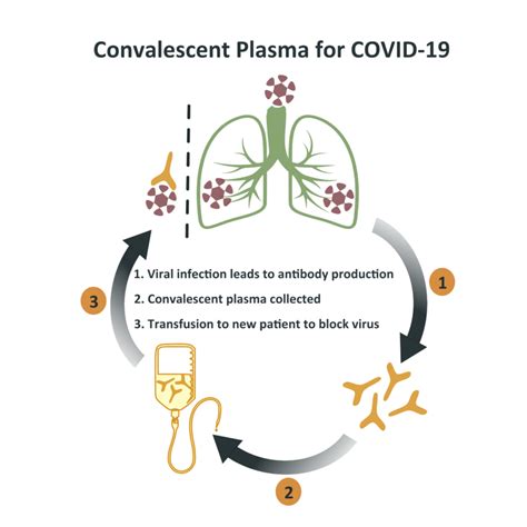 Blood And Clots Series What Is The Role Of Convalescent Plasma For