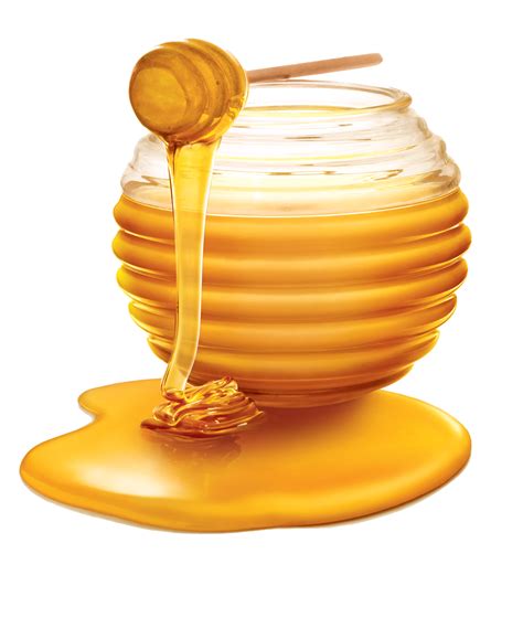 Honey Png Free 10 Free Cliparts Download Images On Clipground 2023