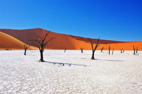 Namibia Desert Safari Sands Of Time Wild Frontiers