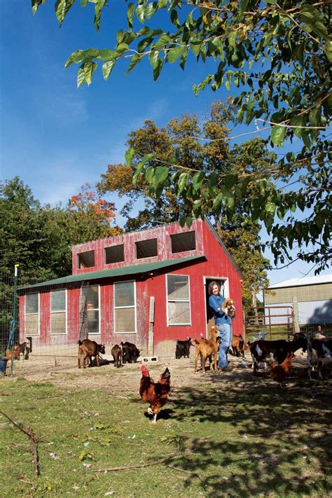 Advice From Modern Homesteaders On Self Sufficient Living Urban